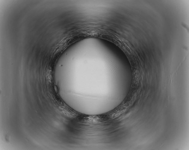 X0000096390612200802141456