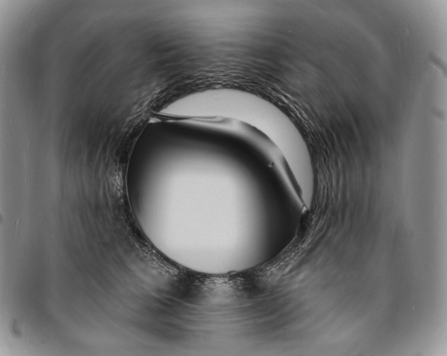 X0000096390613200802141456