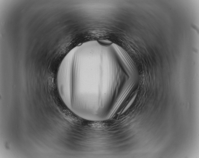 X0000096390615200802141456