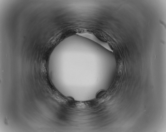 X0000096390616200802141456