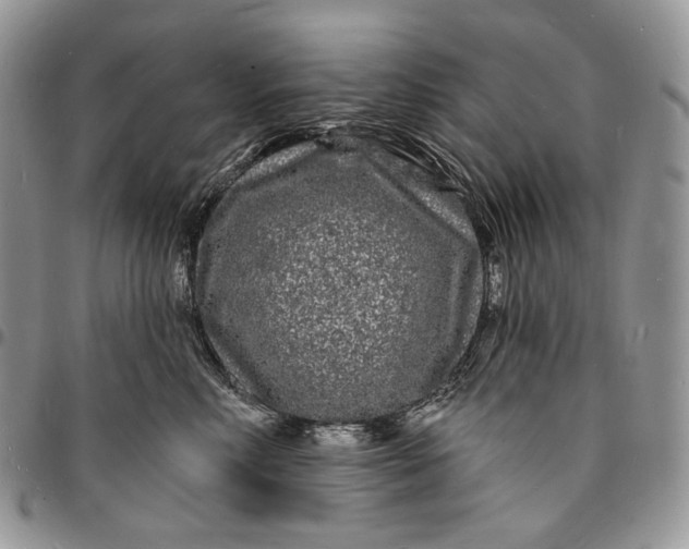 X0000096390618200802141456