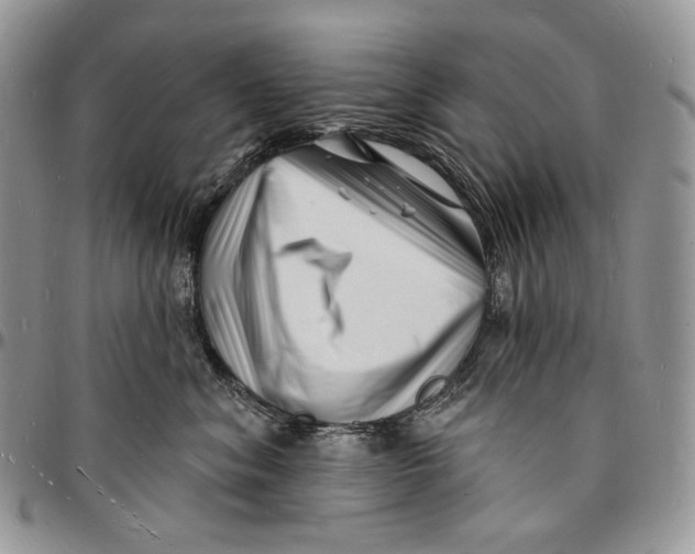 X0000096390620200802141456