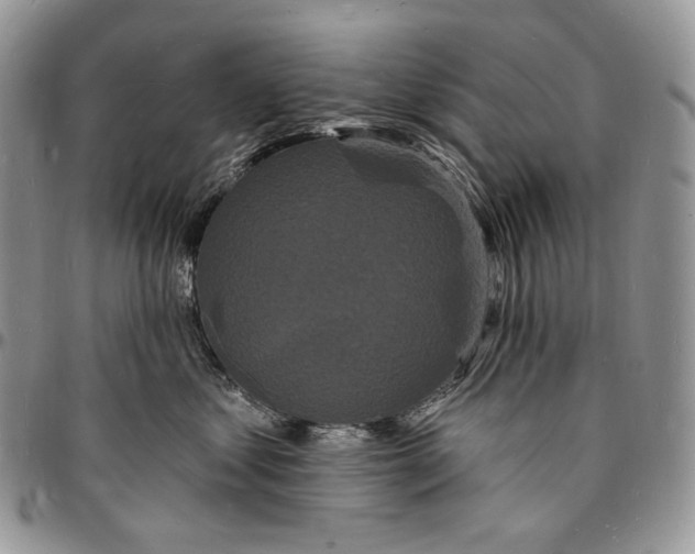 X0000096390621200802141456