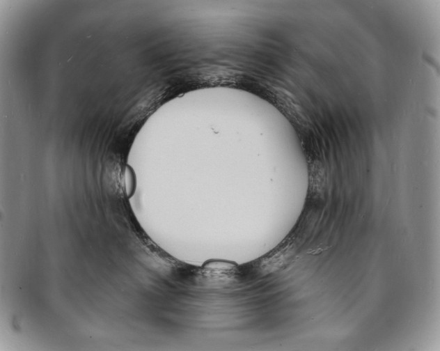 X0000096390622200802141456