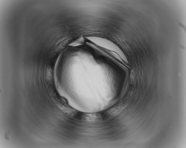 X0000096390623200802141456