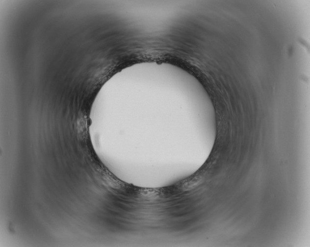 X0000096390624200802141456