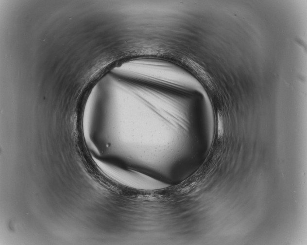 X0000096390627200802141456