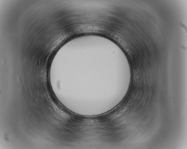 X0000096390629200802141456