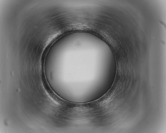 X0000096390630200802141456