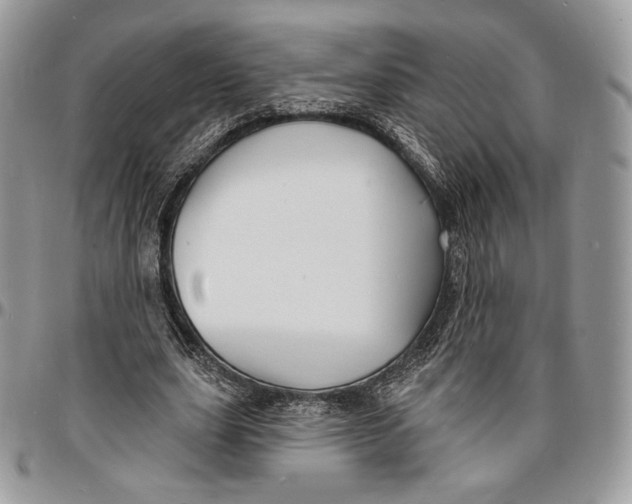 X0000096390631200802141456