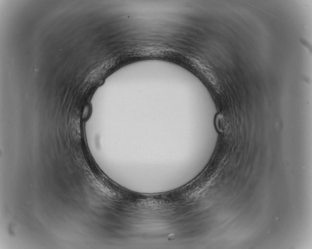 X0000096390633200802141456