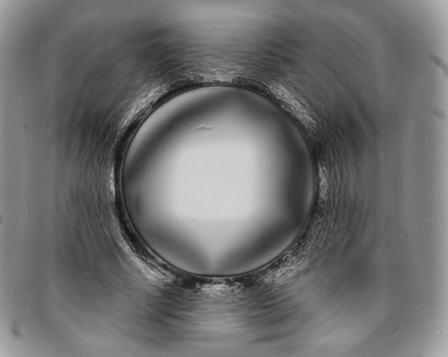 X0000096390634200802141456