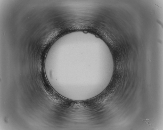 X0000096390635200802141456