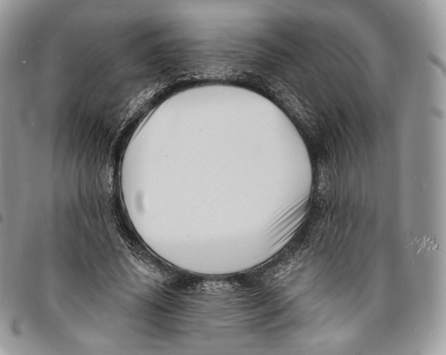 X0000096390636200802141456