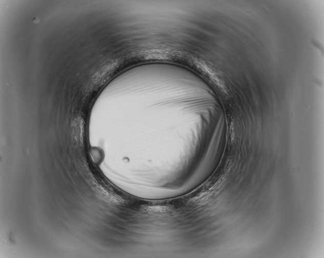 X0000096390637200802141456