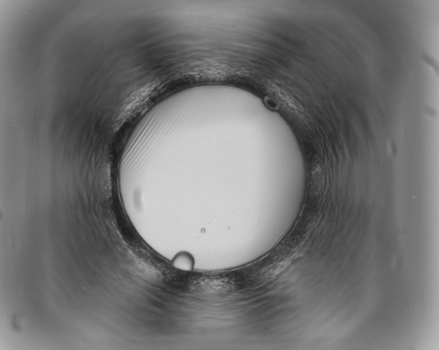 X0000096390638200802141456