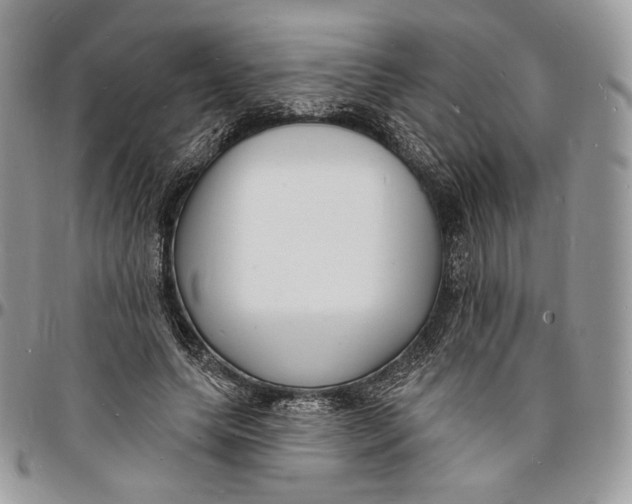 X0000096390639200802141456