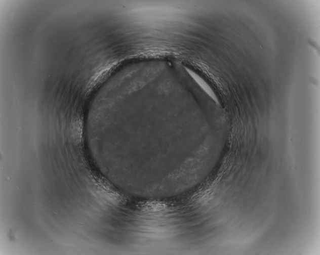 X0000096390640200802141456