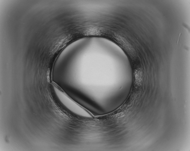 X0000096390642200802141456
