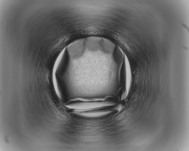 X0000096390643200802141456