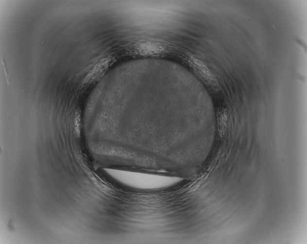 X0000096390644200802141456