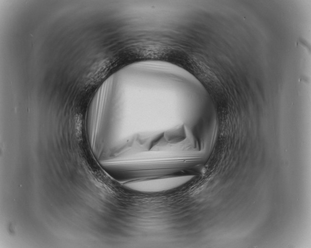 X0000096390646200802141456