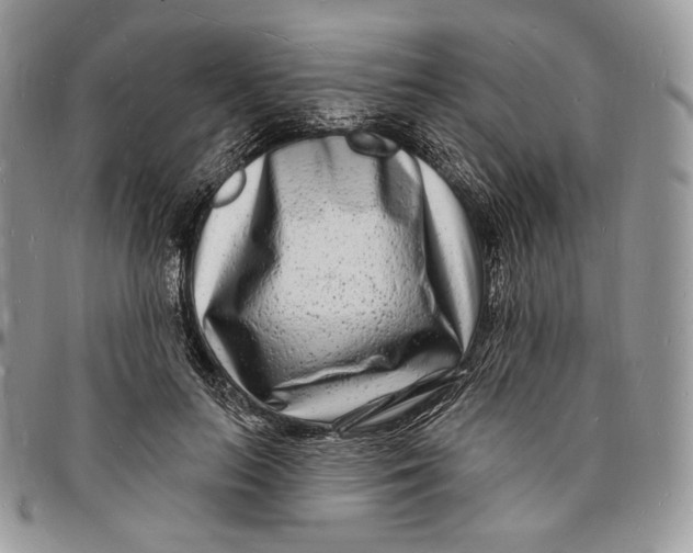X0000096390647200802141456