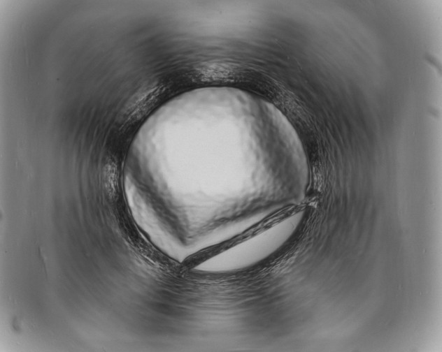 X0000096390648200802141456