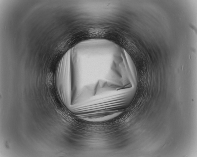 X0000096390649200802141456