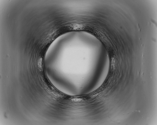 X0000096390650200802141456