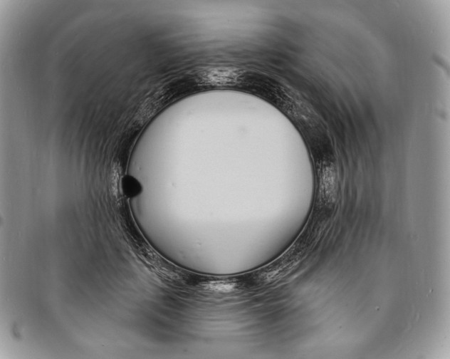 X0000096390651200802141456