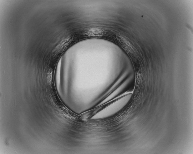 X0000096390652200802141456