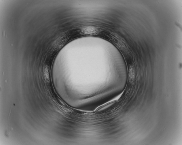 X0000096390653200802141456
