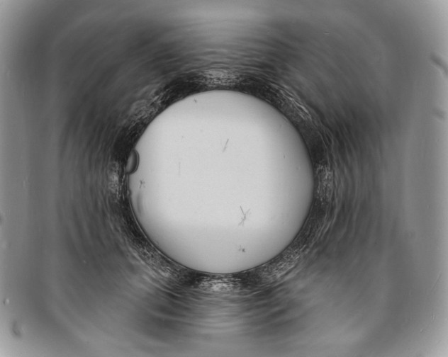 X0000096390655200802141456