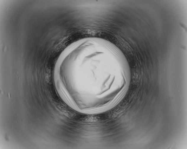 X0000096390656200802141456