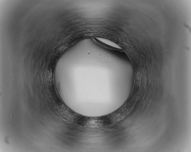 X0000096390657200802141456