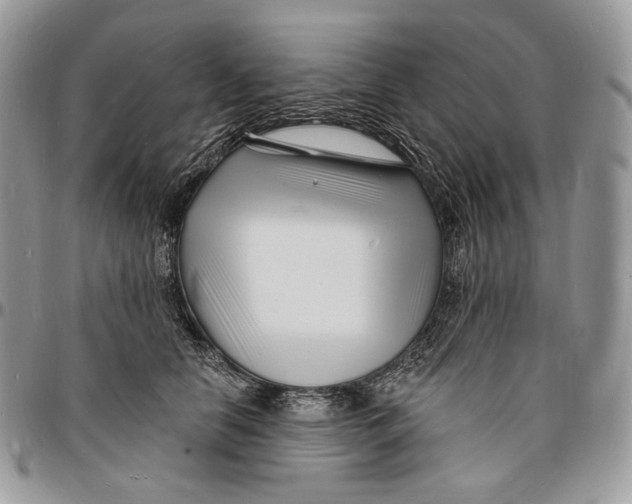 X0000096390658200802141456