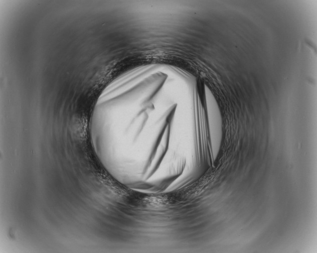 X0000096390660200802141456