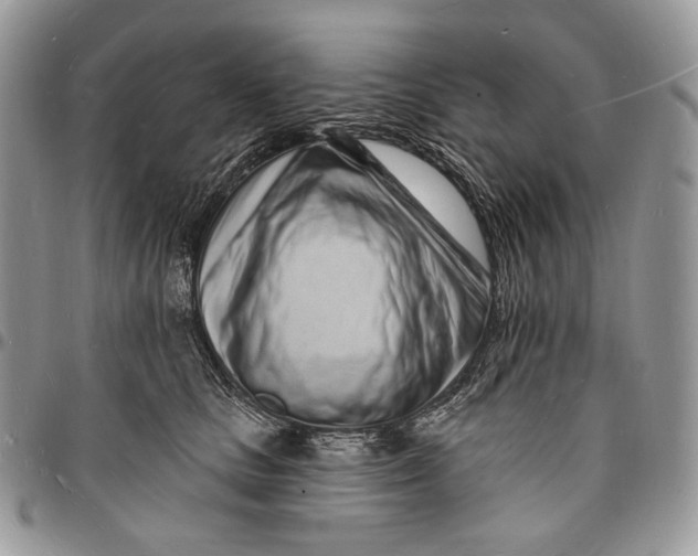 X0000096390661200802141456