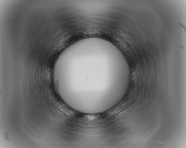 X0000096390662200802141456
