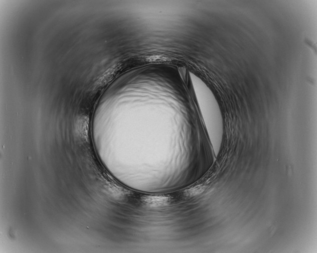 X0000096390664200802141456