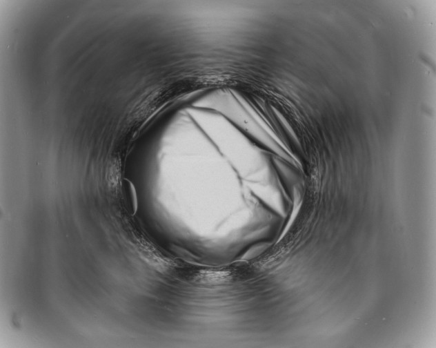 X0000096390665200802141456