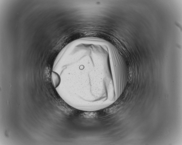 X0000096390667200802141456