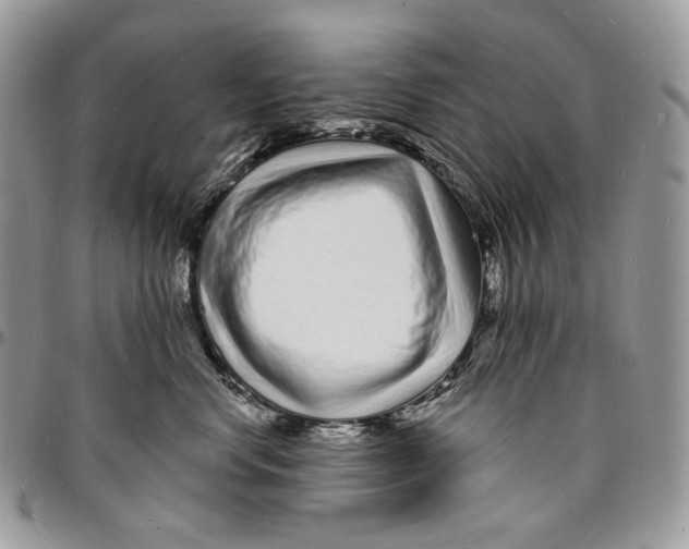 X0000096390668200802141456