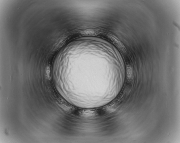 X0000096390669200802141456