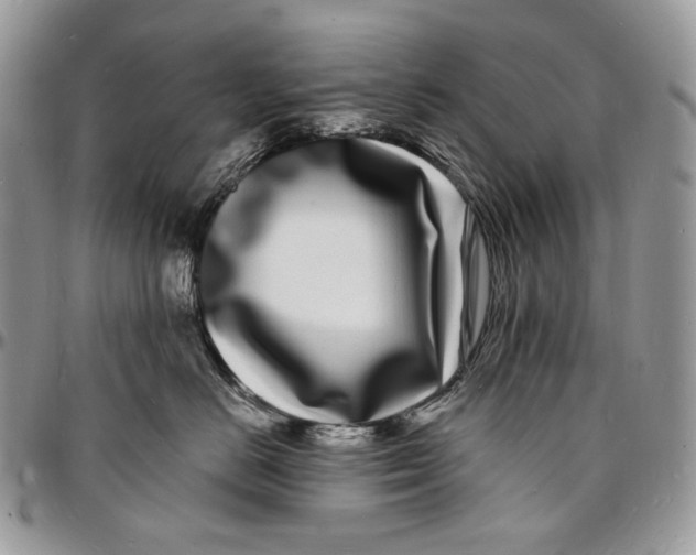 X0000096390670200802141456