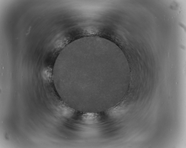 X0000096390672200802141456