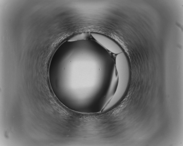 X0000096390673200802141456