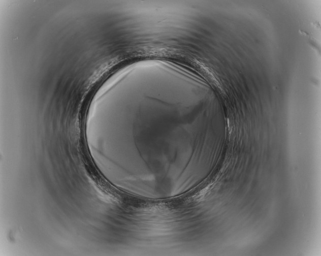 X0000096390674200802141456