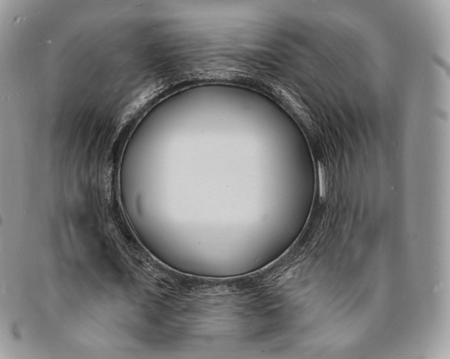 X0000096390675200802141456